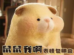 宠物