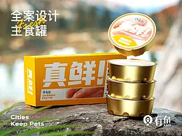 宠物